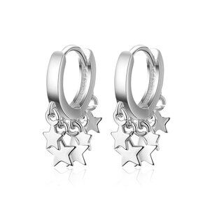 New 925 sterling silver star earrings, light luxury earrings